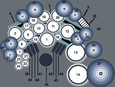Drum Kit Setup Of PASHA